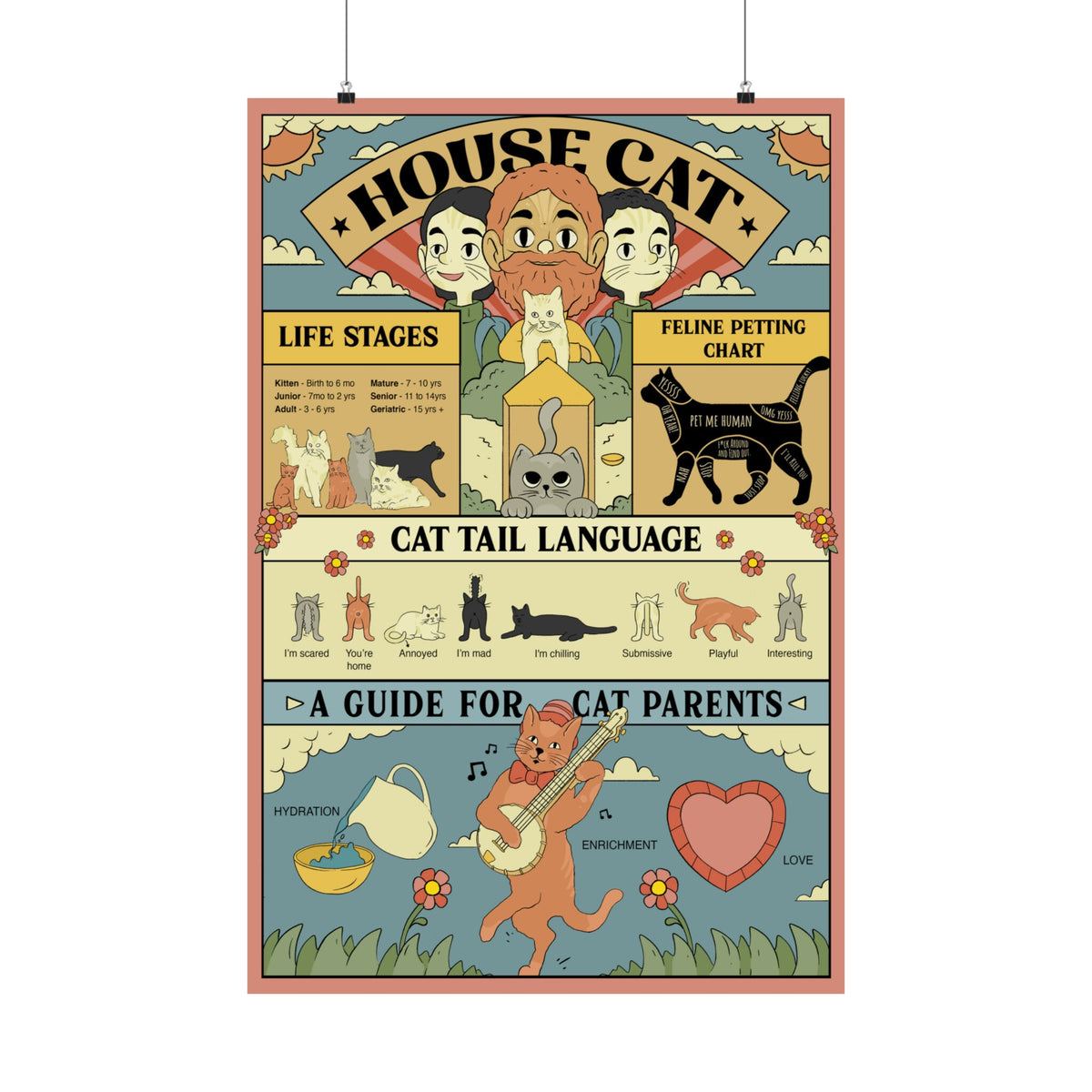 Cat Knowledge Poster