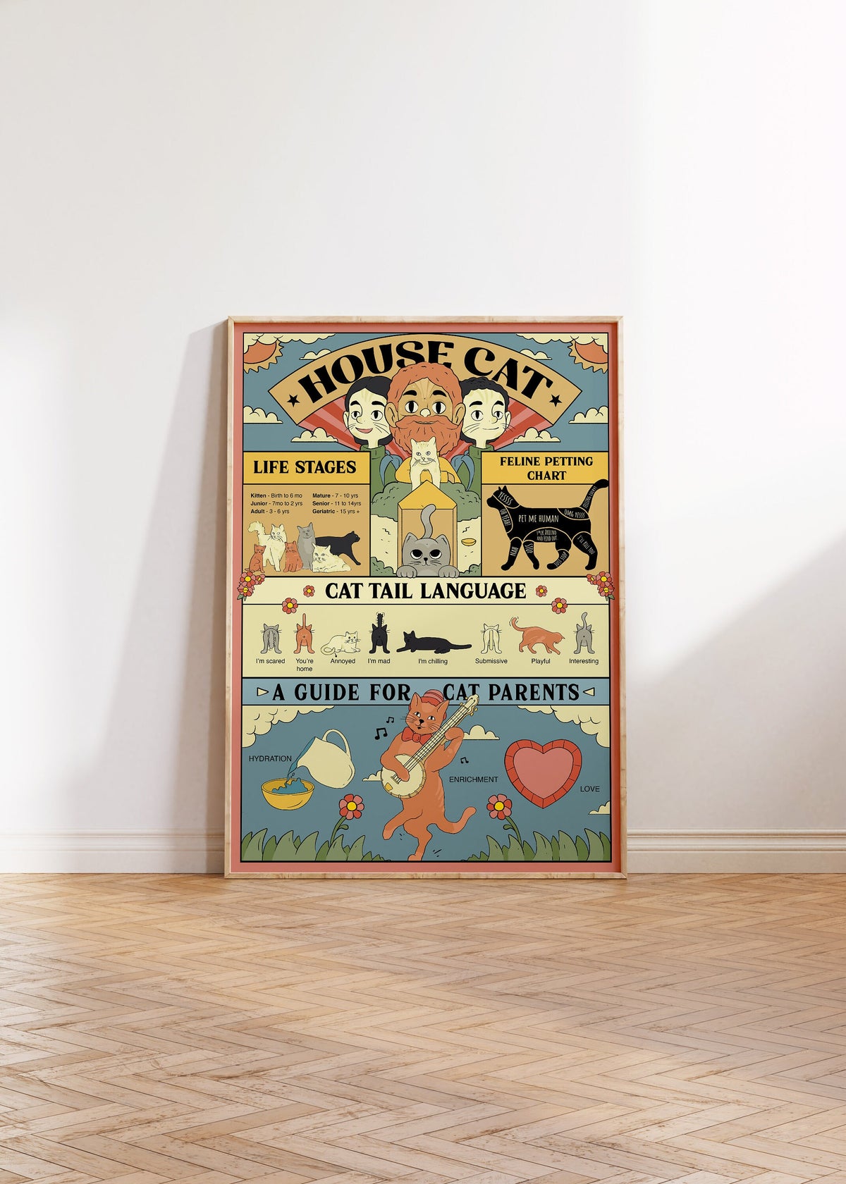 Cat Knowledge Poster
